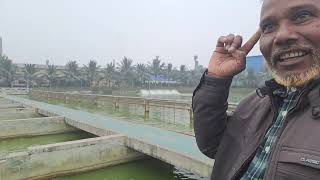 আধুনিক পদ্ধতিতে মাছ চাষ  IPRS fish farming system Chapai nobabjangu bigmoneySM [upl. by Hwu586]