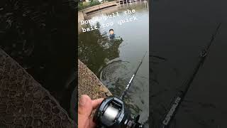 glidebait fishing and a bass swipes my bait 🤦🏻‍♂️🤦🏻‍♂️ bassfishing pondfishing [upl. by Hsinam]