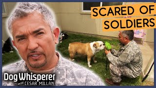 Tragic Rescue Dog Is Terrified Of Men In Army Uniforms 😭  S8 Ep 4  Dog Whisperer With Cesar Millan [upl. by Diann]