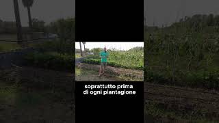 Perchè faccio la BAULATURA  GUARDA IL VIDEO COMPLETO shorts [upl. by Yenterb]