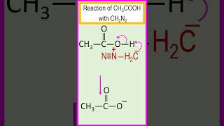 Reaction of acetic acid CH3COOH with diazomethane CH2N2 chemistry [upl. by Anaimad626]