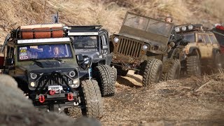 Off Road Trail With ADRC │ Jeep WillysRubicon x 3CherokeeBroncoDefender [upl. by Aramo]