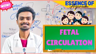 Fetal Circulation  Embryology🎯 Made Easy✅ [upl. by Eirrahs]