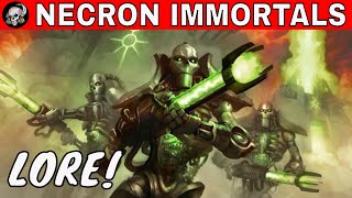 NECRON IMMORTALS IN WARHAMMER 40000 [upl. by Honna582]