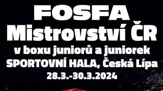 FOSFA Mistrovství ČR v boxu juniorů a juniorek  Česká LÍpa 2932024 [upl. by Lem231]