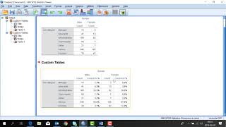 IBM SPSS Statistics Custom Tables [upl. by Grekin]