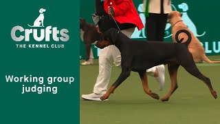 Group Judging Working and Presentation Best In Show at Crufts 2023 [upl. by Aznaed281]