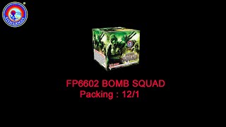 200 gram cakes fireworks 25 shots cakes FP6602 BOMB SQUAD From Fisherman Fireworks [upl. by Arukas459]