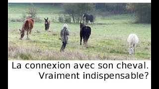 la connexion avec son cheval Un simple gadget [upl. by Odlabu]