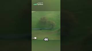 Tiger Woodss Gutsy Six Iron Shot Does it Get Any Better [upl. by Ayotahs]