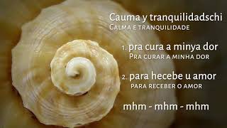 14 Wochenlied  Calma e tranquilidade  brasilianischer Chant  zum Mitsingen W62021 [upl. by Yelsna]