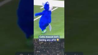 Colts mascot shenanigans nfl colts indianapoliscolts blue mascot popwarnerfootball fighting [upl. by Nadya]