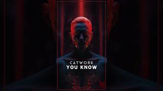 Catwork  You Know Original progressivehouse melodictechno shorts [upl. by Arva]