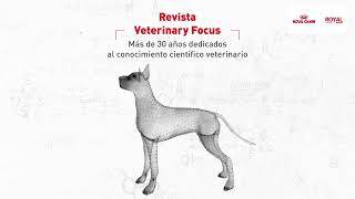 Veterinary Focus una revista aliada para el veterinario [upl. by Daisi987]