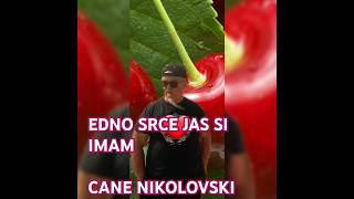 EDNO SRCE JAS SI IMAM  sinfo  by CANE NIKOLOVSKI [upl. by Ritch]