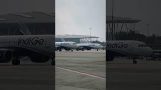 airbus taxing blrairport indigo aircraft travel [upl. by Nojram]