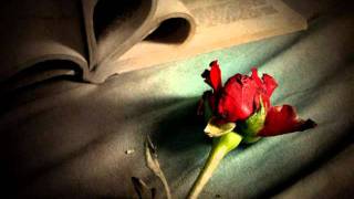 Kumar Sanu Alka Yagnik Sad Song Rehna To Hai Tere Hi Sang [upl. by Ericksen]