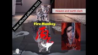 Most affected pillar in 2022 – Fire Monkey – Bing Shen [upl. by Aziar]