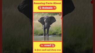 Amazing Facts about animals। जानवरो के बारे में रोचक तथ्य। facts animalsfacts animals [upl. by Aletha]