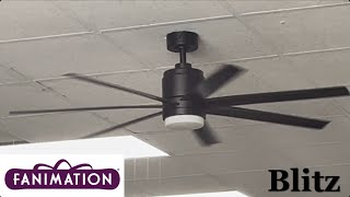 56” Fanimation Blitz ceiling fans 2024 Remake [upl. by Ibson]