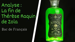 Analyse de lexcipit de Thérèse Raquin de Zola [upl. by Jeralee]