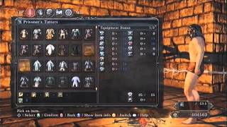 Dark Souls 2 How To Get Infinite Soul Spear and Soul Geyser Guide [upl. by Dier831]