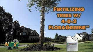 How to Fertilize Trees w 402 FloraGreene™ [upl. by Baugh]