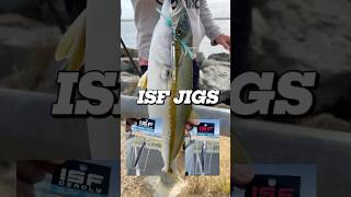 ISF jigs kingfish jewfish shorejigging [upl. by Scopp]