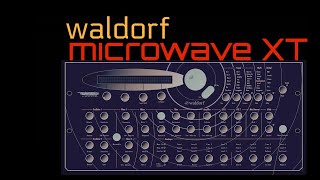 Waldorf Microwave XT  3 sketch tracks  1 single preset [upl. by Starlin]