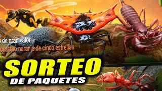 🆕 Sorteo de paquetes de insecto  Participa siendo miembro del canal 🌏The Ants UK🐜 [upl. by Animor]