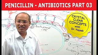 Penicillin  Antibiotics  Dr Najeeb  Part 34 [upl. by Gerty119]