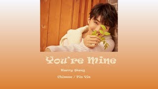 Karry Wang 王俊凯  Youre Mine 我的 Lyrics 歌词 ChinesePin Yin [upl. by Norraa212]