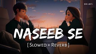 Naseeb Se Slowed  Reverb  Payal Dev Vishal Mishra  Satyaprem Ki Katha  SR Lofi [upl. by Hephzipah]