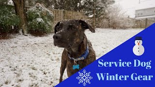 Winter Service Dog Gear [upl. by Cirle]