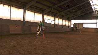 2 Stunde Bernd Hackl Kurs November 2014 Galopparbeit mit Angel HD [upl. by Haridan517]