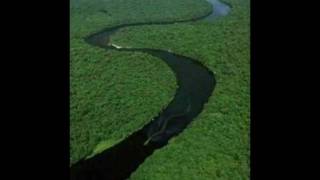 Nabau  Mythical Monster of Borneo In HD [upl. by Tuddor]