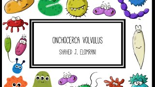 Onchocerca Volvulus [upl. by Ellesor]