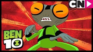 Ben 10  Grey Matter Gets Eaten  Cartoon Network [upl. by Vincents]