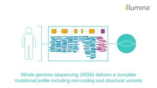 Mutation Profiling with Whole Genome Sequencing WGS  Methods Guide [upl. by Oidale356]