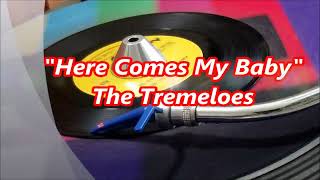 The Tremeloes  Here Comes My Baby [upl. by Leahkim467]