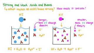 Explained Acidity and Basicity [upl. by Garvy]