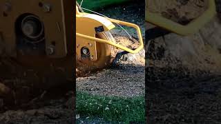 Tree 🌳🌲🌴stump remover automobile satisfying machinery [upl. by Wyn]