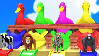 4 Giant Ducks Gorilla Cows Tigers Lions Elephant Fountain Crossing Animal Transforms Paint Animals [upl. by Juliet]