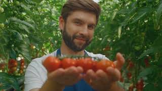 Tomato Abundance Growing Preserving and Cooking YearRound a few new ways to preserve tomatoes [upl. by Orv541]