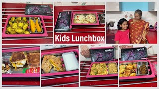 Kids Lunch Box I 6 Lunchbox recipes kids will Enjoy [upl. by Einnaoj]