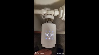 Smartes Thermostat anbringen Tuya ZigBee Moes [upl. by Secnarfyram792]