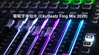 葡萄牙神仙水 CkyBeatz Fing Mix 2020Private [upl. by Rhianon7]