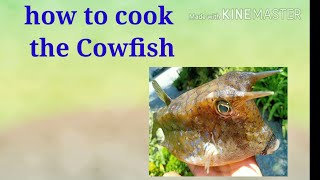 Cowfish recipes [upl. by Annahvas]