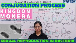 KINGDOMMONERACONJUGATION PROCESS IN BACTERIATRANSFER OF GENESCLASSXI NCERT BIOLOGYNEET 2025 [upl. by Brendis]