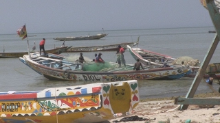 Afrique de lOuest  un navire pour lutter contre le pillage de la pêche [upl. by Alimat]